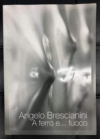 Angelo Brescianini A FERRO E... FUOCO a cura di Antonio Falbo cm 29,5x21...