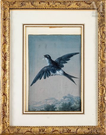 Ernst Friedrich Carl LANG (seconde moitié du XVIII ème siècle) Hirondelle aux...
