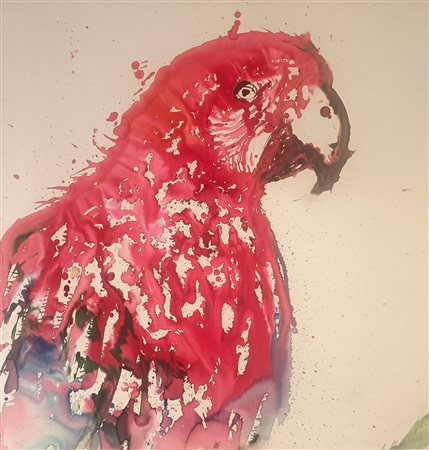 FALCO PUJOL JOAQUIN Spagnsa (Spagna) 1958 Pappagallo Acquarello su cartoncino...