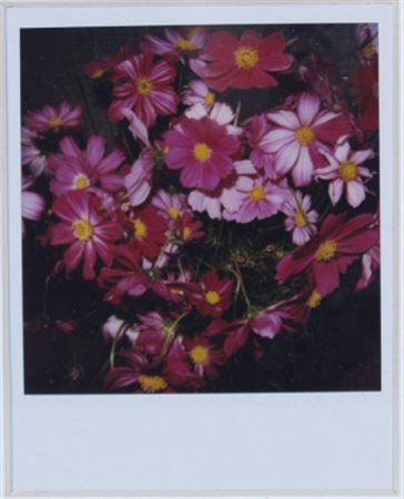 ARAKI NOBUYOSHI (Tokio 1940) “Senza titolo” Polaroid cm. 9x11 Firma al retro