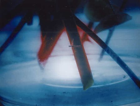 Matteo Basilè - Seri In liquido - 2000 alluminio su tavola, es. 1/3 cm....