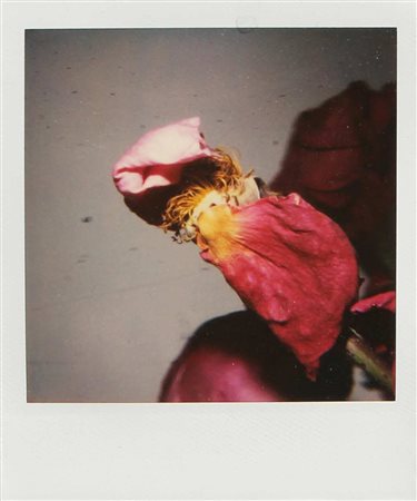 Nobuyoshi ARAKI Tokyo 1940 Senza titolo Polaroid cm 10,5 X 8,7