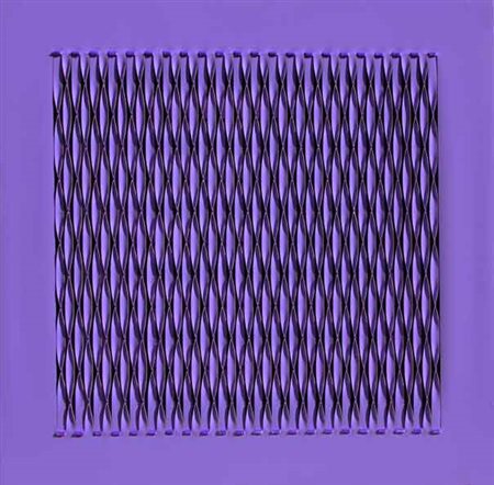 Marco CARLETTO Premosello (VB), 1965 Senza titolo, 2011 Acrilici in doppia...