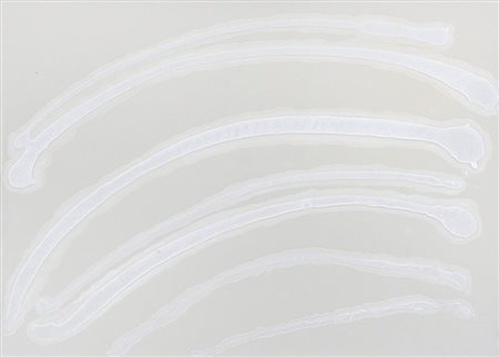 CALZOLARI PIERPAOLO Bologna 21/11/1943Senza titolosale su cartone cm. 70x100,...