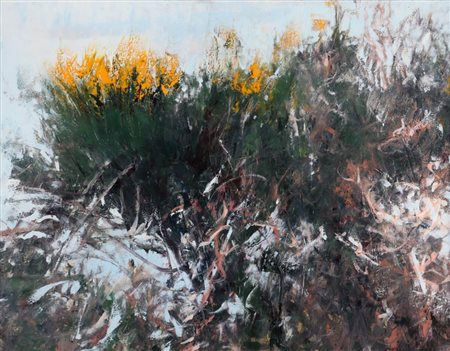 Giancarlo Cazzaniga 1930 " Ginestre", anni '70 Olio su tela, cm. 70 x 90...
