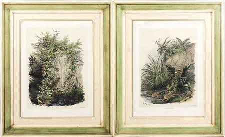 SCORCI DI GIARDINO E ARBUSTI - GARDEN VIEWS AND SHRUBS serie di tre...