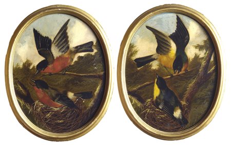 Michelangelo Meucci (Firenze, 1840 - 1909) CIUFFOLOTTI NEL NIDO Olio su...