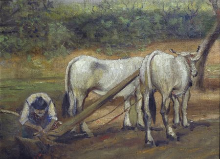 Cesare Ciani (Firenze, 1854 - 1925) BUOI CON ARATRO Olio su tela riportato su...