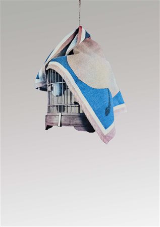 PISTOLETTO MICHELANGELO Biella 1933 La gabbia (anni '70) serigrafia su...