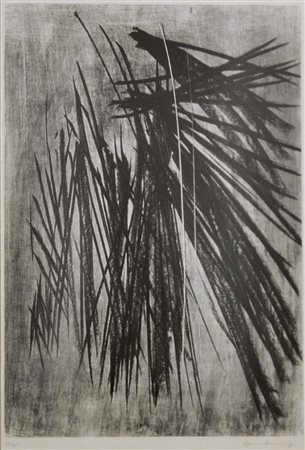 HARTUNG HANS Lipsia 1911 - 1990 senza titolo litografia es. 28/75 76x56 firma...