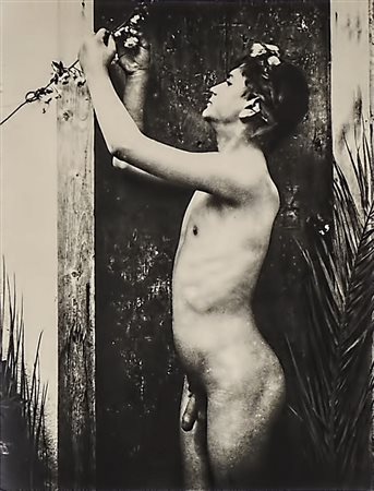 WILHELM VON GLOEDEN (1856-1931) Nudo maschile e foglia di palma - Male Nude...