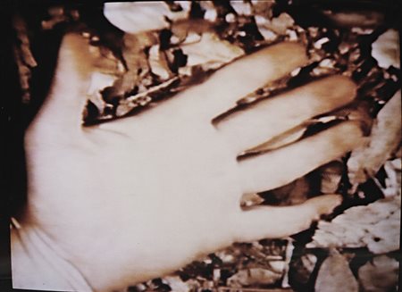 DENNIS OPPENHEIM Electric City 1938 – New York 2011 LEAFED HAND, 1970 L’opera...