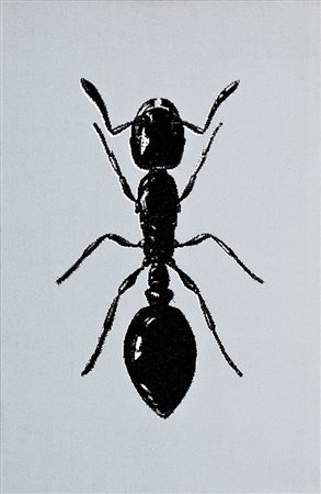 PETER KOGLER Innsbruck 1949 SCARAFAGGIO, 1991 Olio su tela, 58 x 38 cm