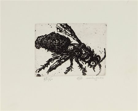 Minguzzi Luciano Insetto incisione su carta, cm. 23x27,5 (lastra cm....