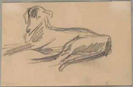 Plinio Nomellini Livorno 1866 – Firenze 1943 Cane matita su carta, cm...