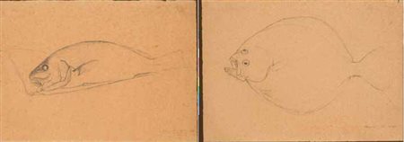 Oscar Ghiglia Livorno 1876 – Firenze 1945 a) b) Pesce matita su carta, cm...