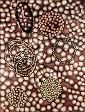 Ross Bleckner New York 1949 Senza titolo, 2001 olio su lino, cm 121,9x91,4....