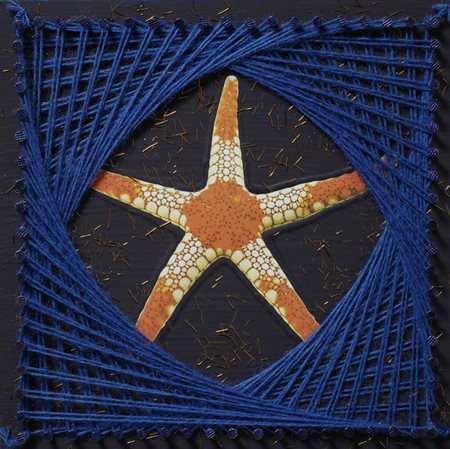 Marco Querin (Milano, 1978) IL MIO LATO MIGLIORE, 2011 Lana, rame, foto, cm....