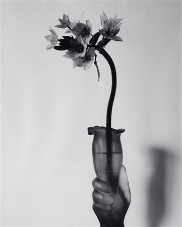 Nobuyoshi Araki (Tokio, 1940) KAIN POPPY, 1996 Fotografia bianco/nero, cm....