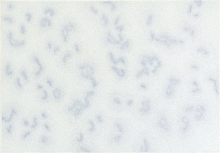 DADAMAINO (EDOARDA MAINO) Milano 02/10/1935 - Milano 04/2004Costellazioni,...