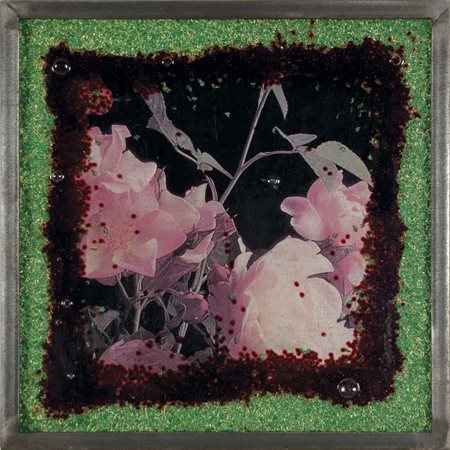 RONDA OMAR Biella 1947 Roses Frozen 2001 fotografia e silicone 45x45 firma...