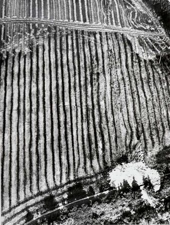GIACOMELLI MARIO Senigallia 1925 - 2000 Presa di coscienza sulla natura...