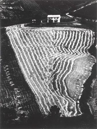 Mario Giacomelli Senigallia (An) 1925 - 2000 Presa di coscienza sulla natura,...