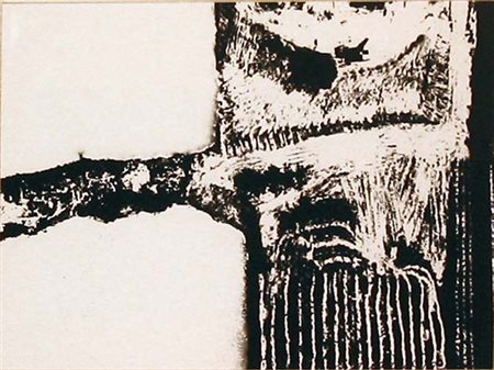 MARIO GIACOMELLI Presa di coscienza sulla natura 1954 - 1980 cm 23x17 Foto...