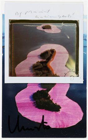 MAURIZIO GALIMBERTI 1956 " Christo ready - Made affezione n. 116 ", 2010...