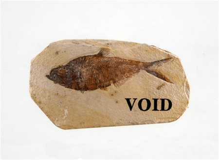 GEORGE BRECHT 1926 - 2008 " VOID ", 1990 Fossile in resina, cm. 23,5 x 30,5 x...