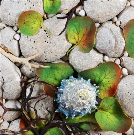 PIERO GILARDI 1942 " Conchilia Born ", 1994 Scultura in poliuretano espanso...