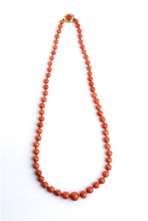 Collana in corallo Mediterraneo fermezza in oro giallo 18k, ad un filo di...