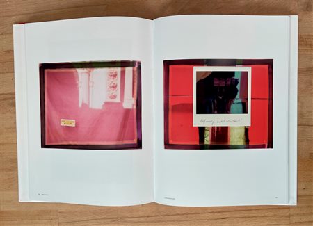 CATALOGHI CON OPERE ALL'INTERNO (MAURIZIO GALIMBERTI) - Readymade, 2019