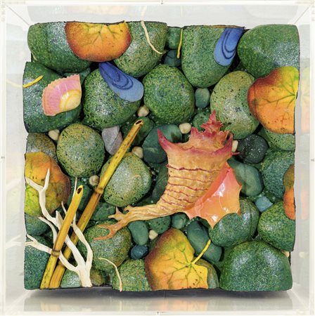 Spiaggetta con murex