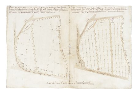 Pianta del Podere del piano, nel popolo di S: Michel' Bissdomini[...]del...