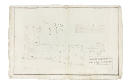 Pianta, o sia Perticazione del Podere detto Spinadello, Arativo, Piantato e...