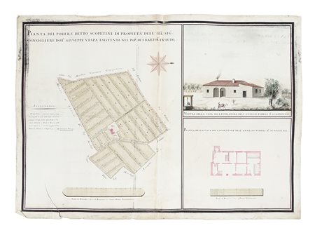 Pianta del podere detto Scopetini di proprietà dell'Ill:mo Sig.r Consigliere...