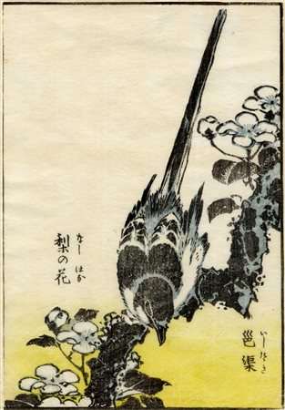 Katsushika Hokusai , Uccellino su ramo fiorito. Tempo 1843. Xilografia a...
