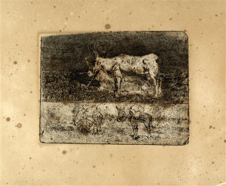 Giovanni Fattori, Studi di animali. Acquaforte. mm 180x235. Foglio: mm...