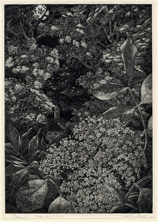 Wilhelm Heise, Hollunder (Sambuco). 1925 ca. Litografia su carta Giappone. mm...