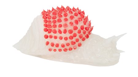 Vittorio Valente, Lumachina. 2019. Silicone colorato. cm 14,5x7x7,5. Opera...