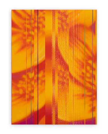 DANY VESCOVI (1969) - Senza Titolo, 2003