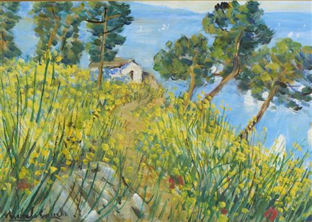 CASCELLA MICHELE (1892 - 1989) - GINESTRE SUL PROMONTORIO (INIZI ANNI '80).