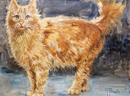 Prassi Giovanni (Napoli 1945)