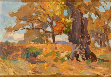 ROMUALDO PRATI
(Salisburgo 1874 - Roma 1930)
<br>Paesaggio autunnale