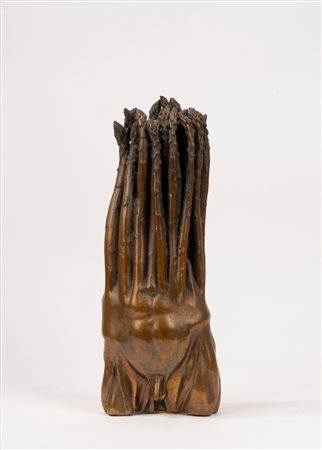 Novello Finotti (Verona 1939)  - Anatomia vegetale, 1970s