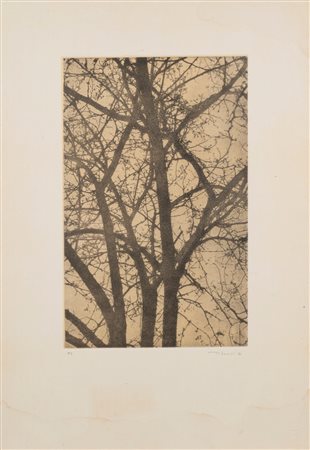 Angelo Titonel (Cornuda  1938 - Imola  2018)  - Albero, 1980