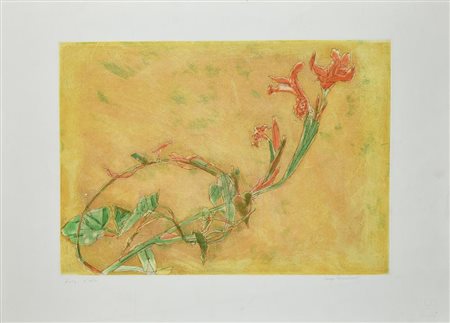 Lorenzo Tornabuoni SENZA TITOLO incisione, cm 34x50, su foglio 50x70; es....