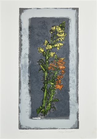 Lorenzo Tornabuoni FIORI litografia, cm 70x50; es. XVIII/XX firma e tiratura...