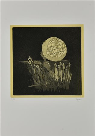 Pietro Palma TANCA, 1985 acquaforte-acquatinta, cm 26x26, su foglio cm...